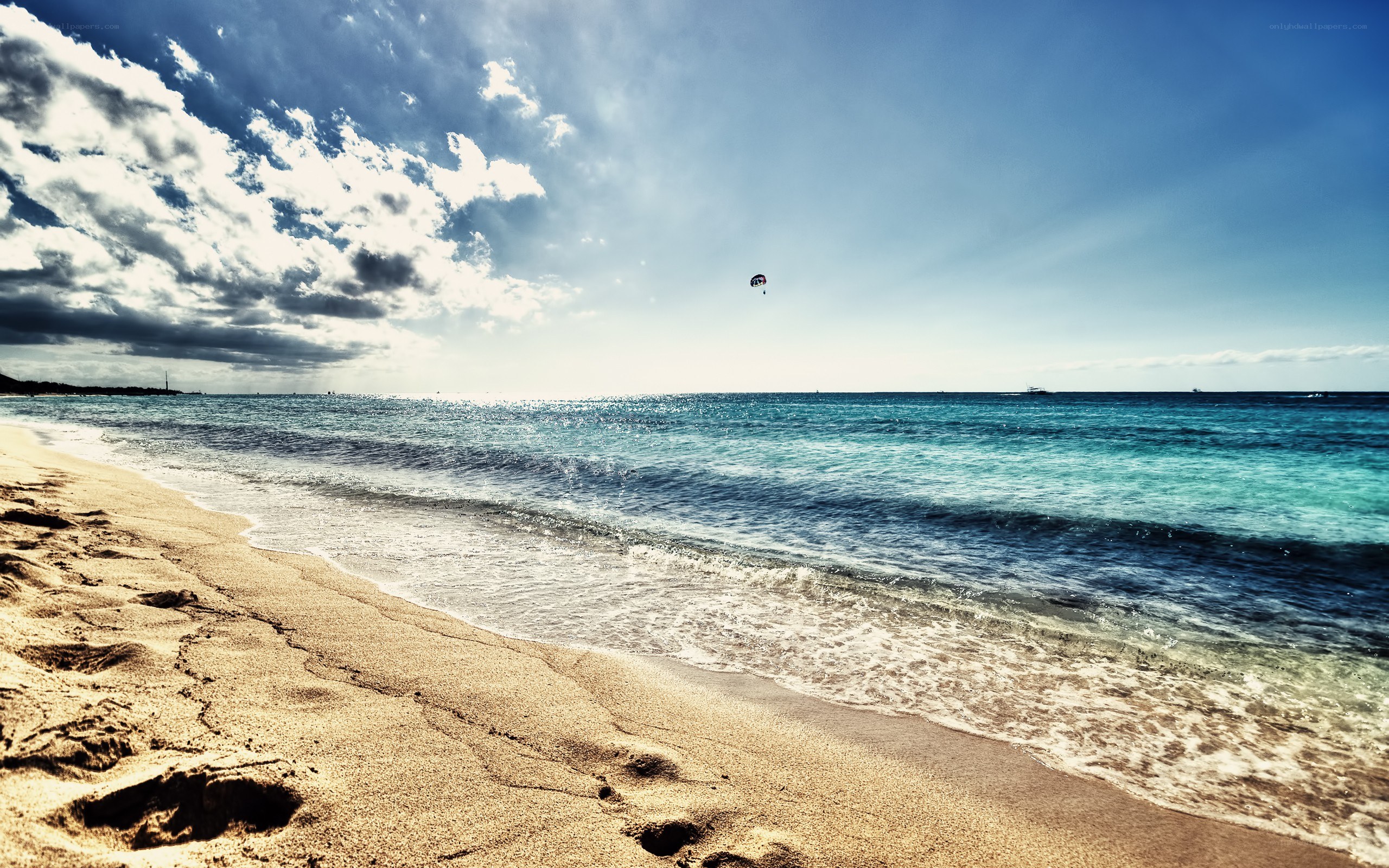 Beach with parasailing