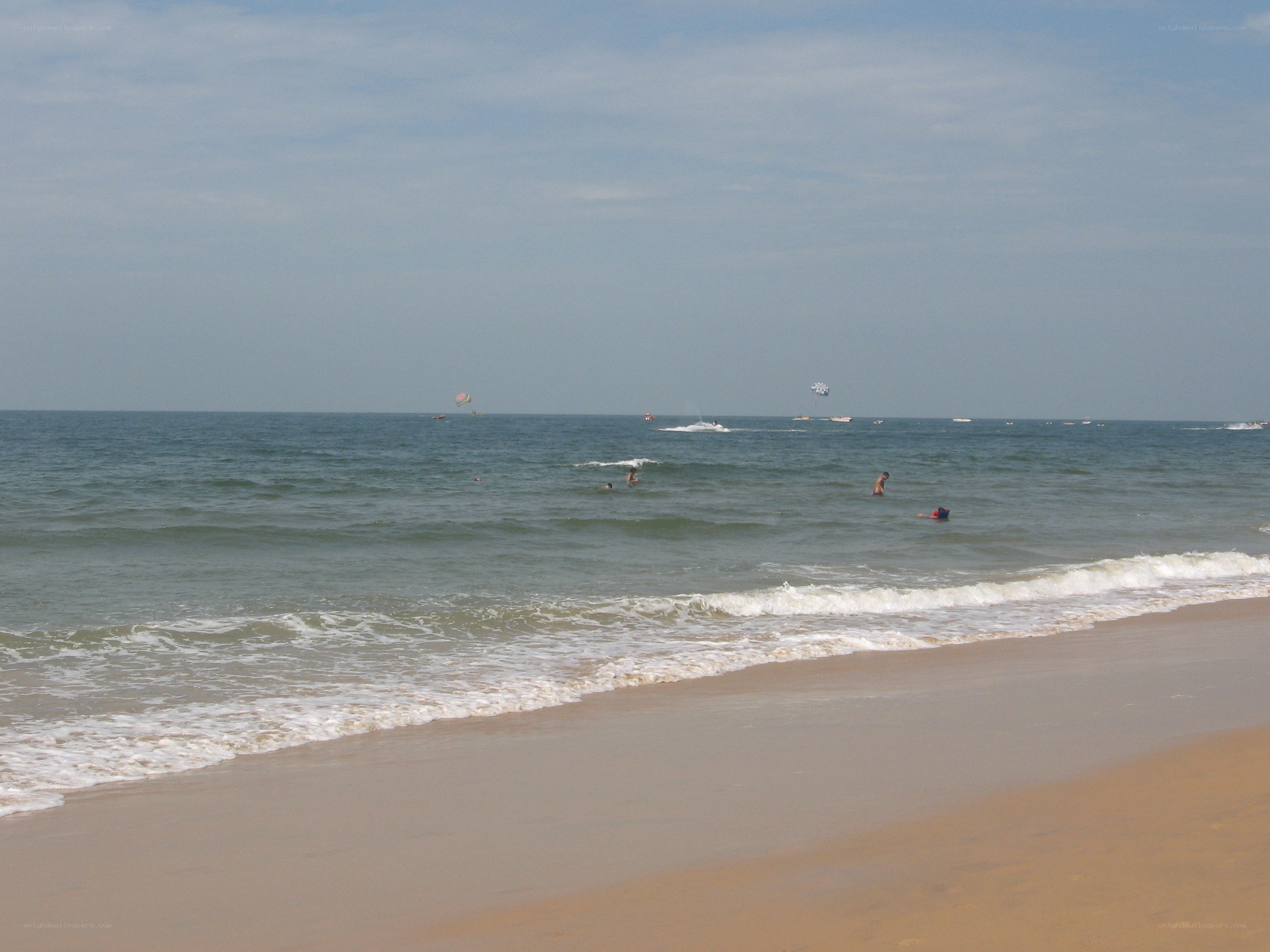 beach with parasailing and swimmers