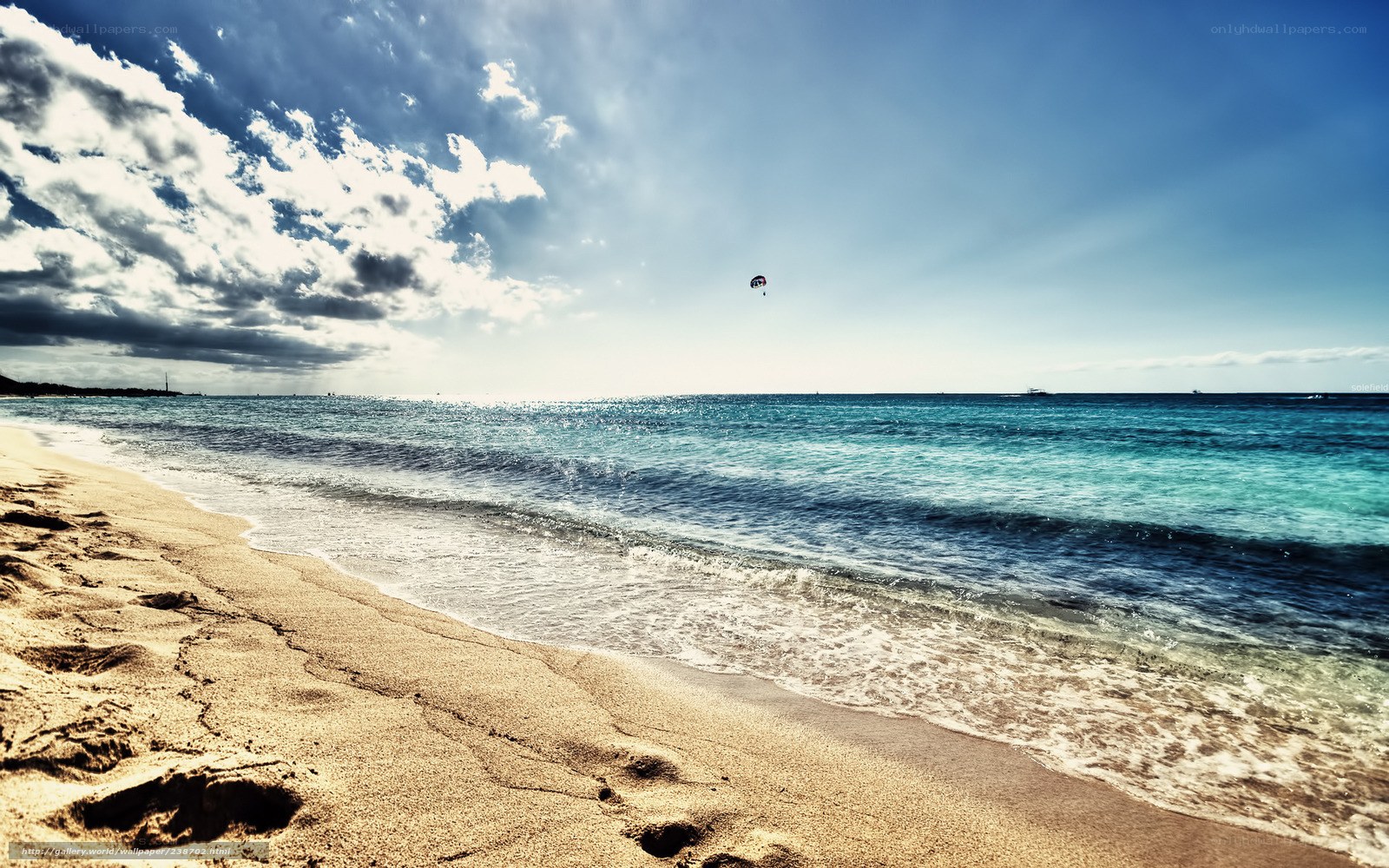 Beach with parasailing