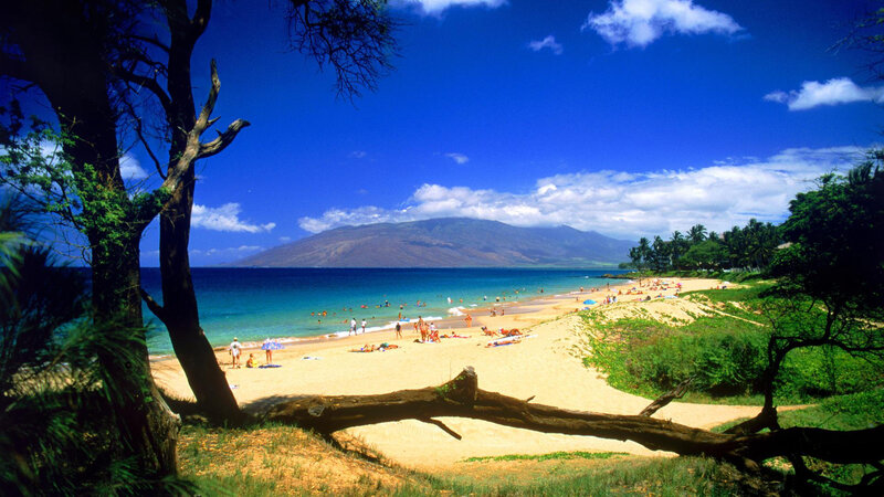Beach with People and Mountain — Blue, Serene