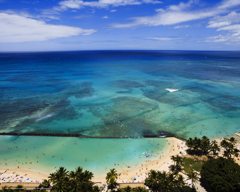 Beach with People and Palm Trees