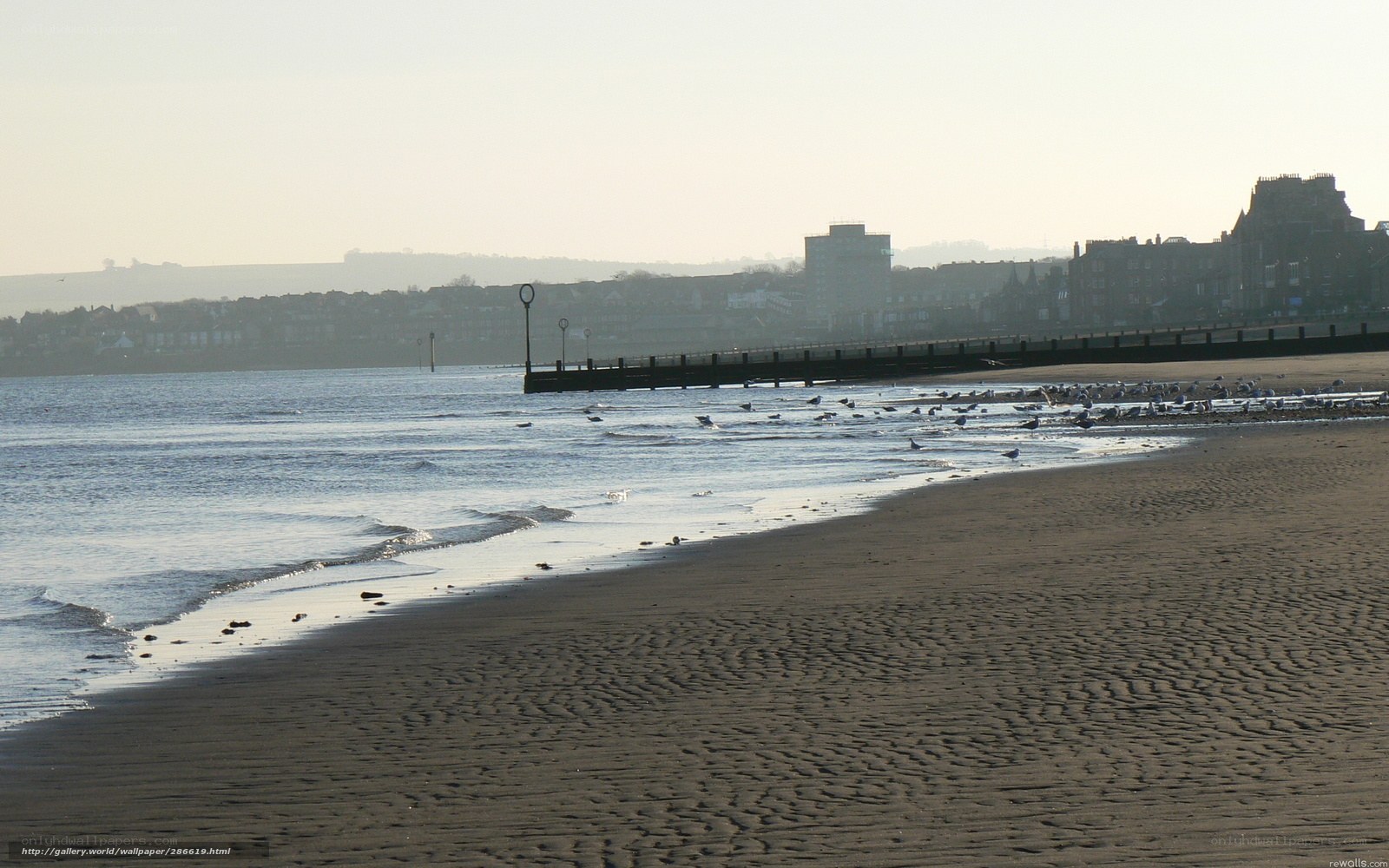 Beach with pier and city view