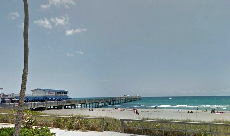 Beach with Pier and Palm Tree