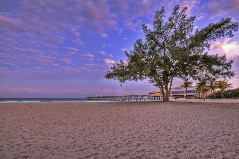 Beach with Pier and Tree