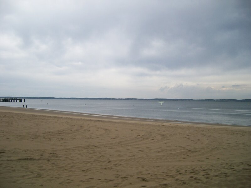 Beach with Pier — Brown