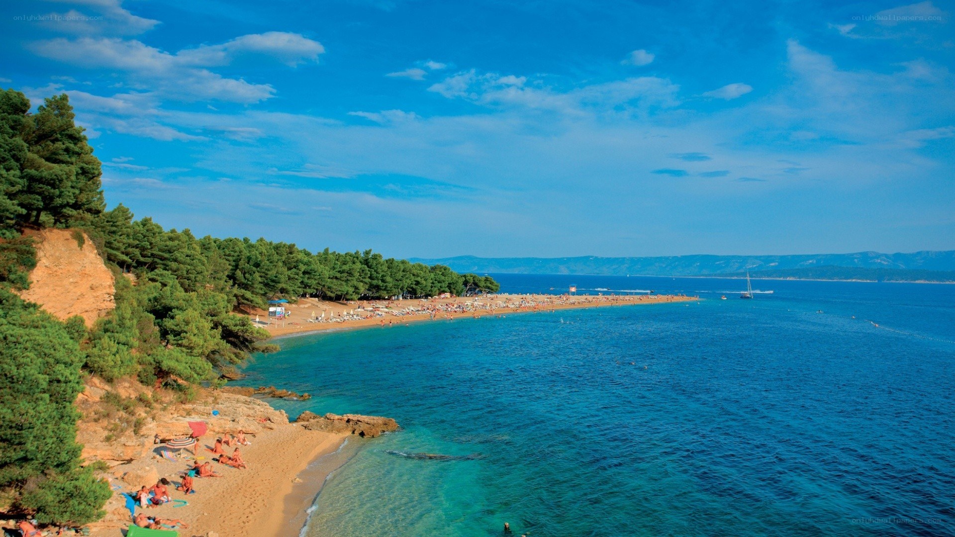 Beach with pine trees and blue sea