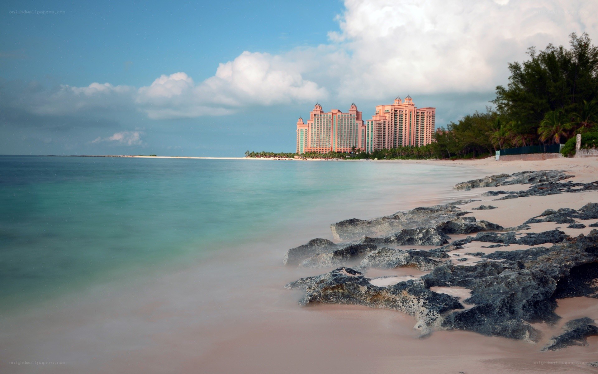 beach with pink sand and resort