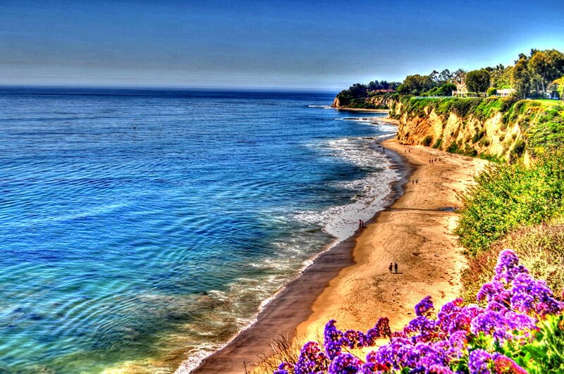 Beach with Purple Flowers — Blue, Serene
