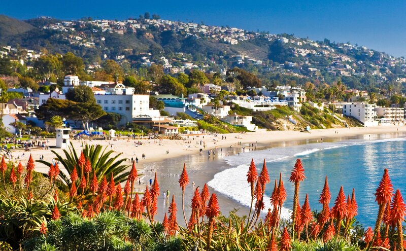 Beach with Red Flowers