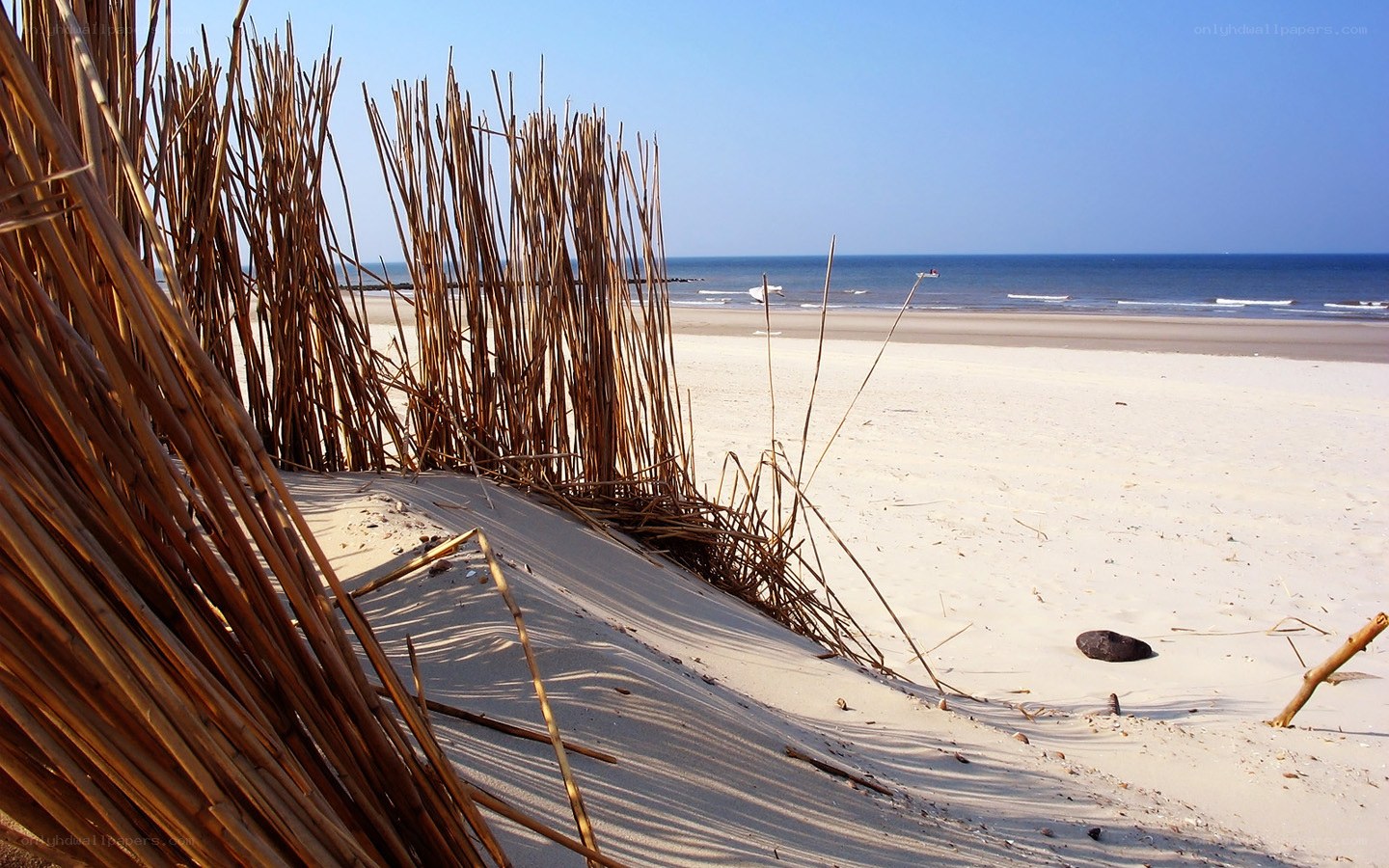Beach with reed fence