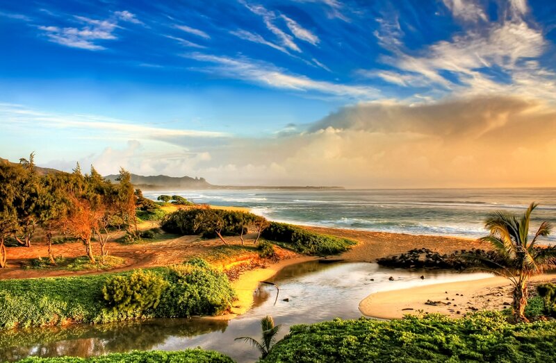 beach with river and palm trees