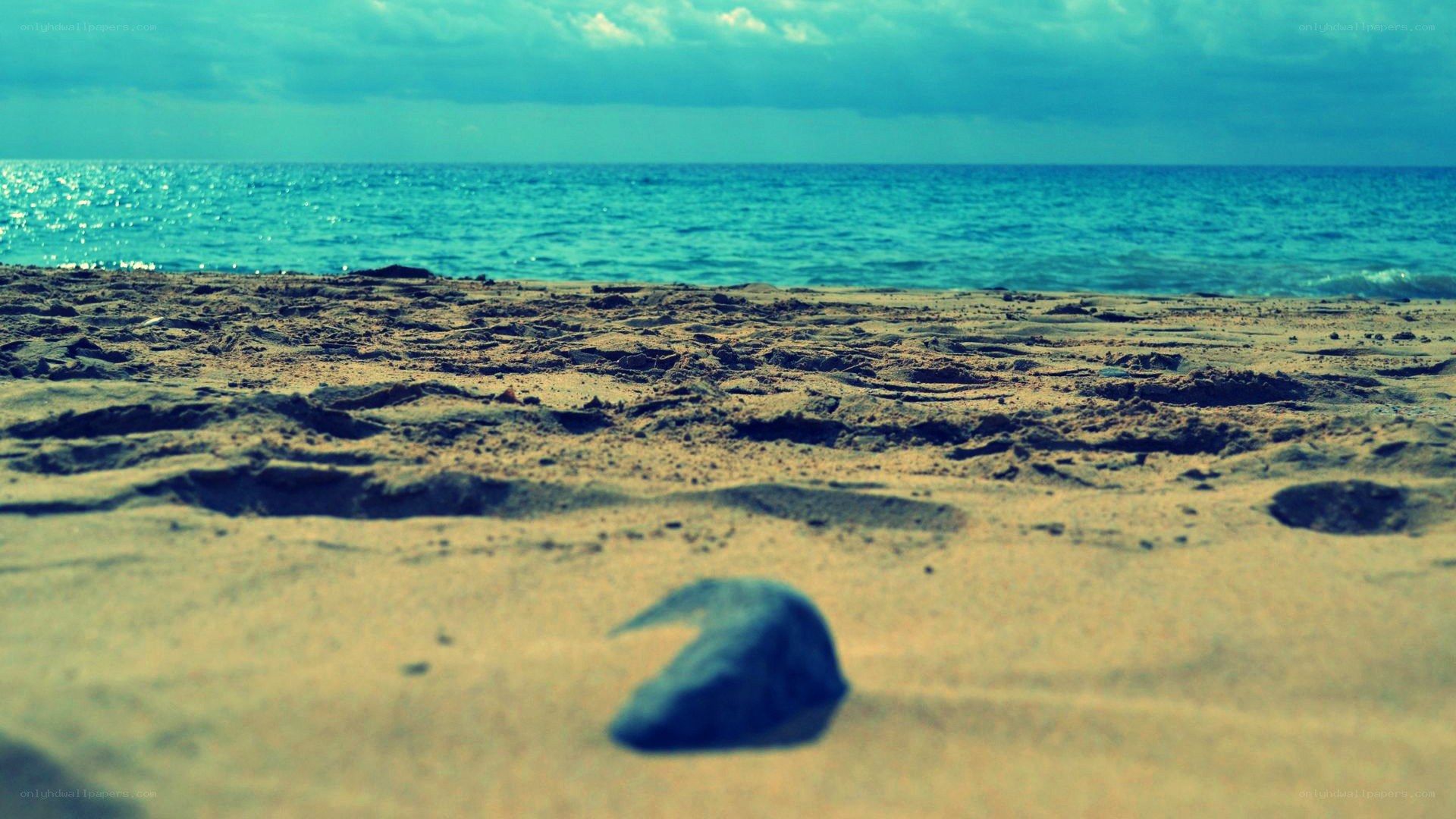 beach with rock and ocean