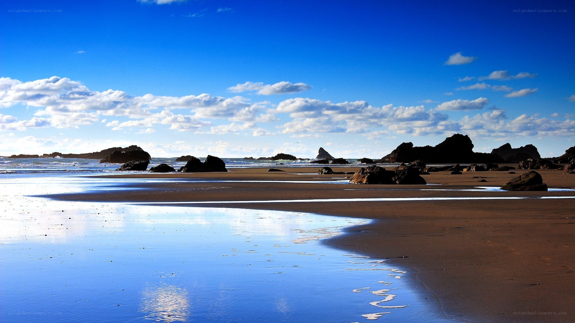 Beach with rocks and blue sky