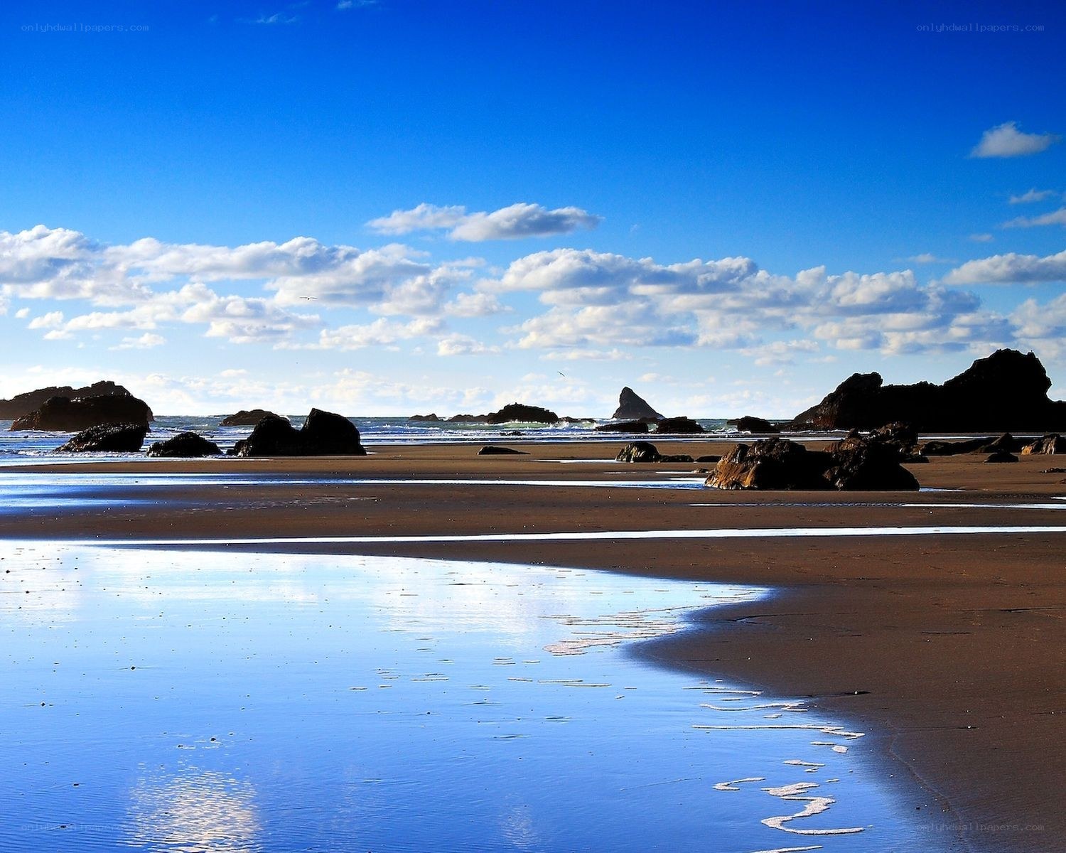 Beach with rocks and blue sky