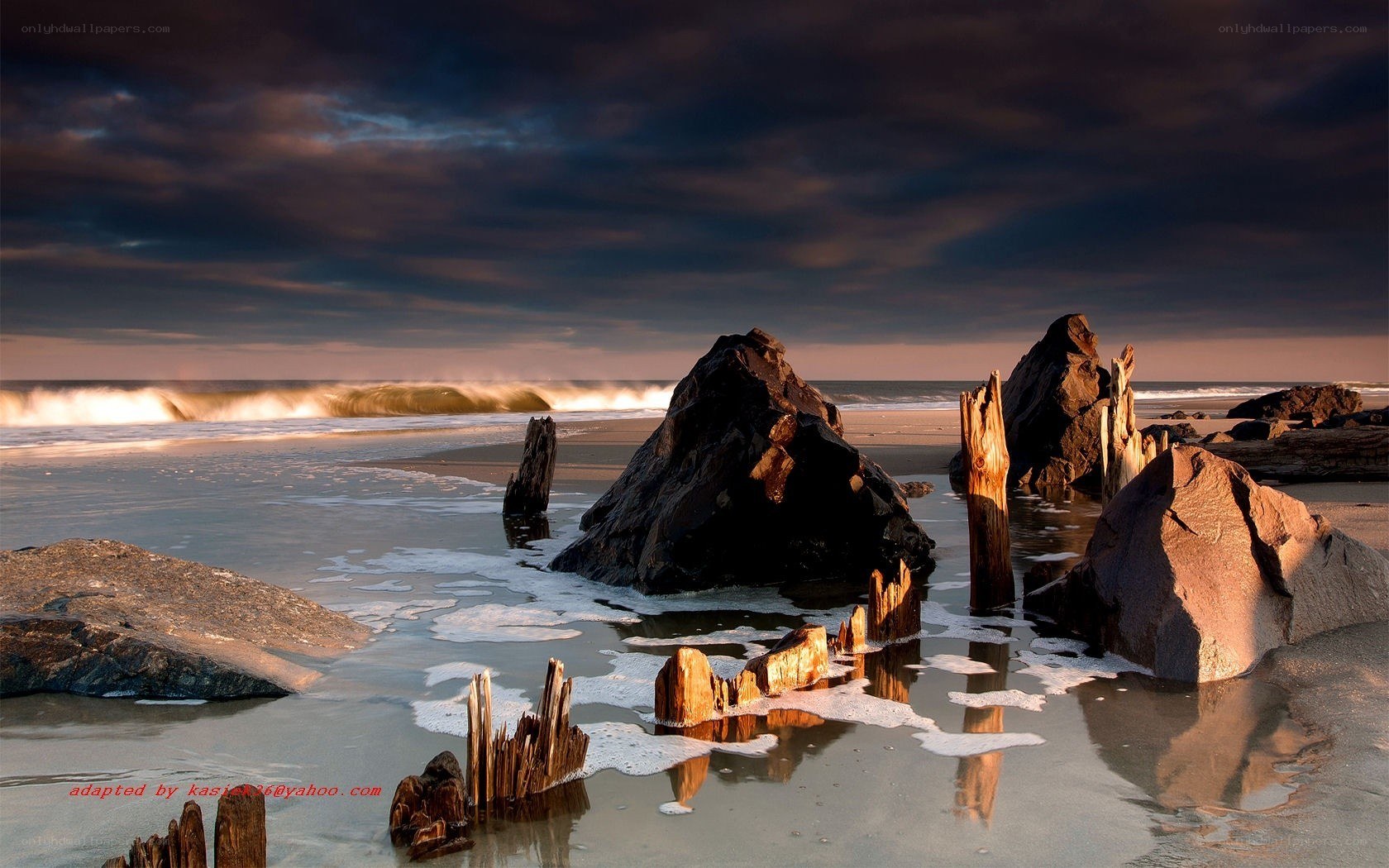 Beach with rocks and driftwood