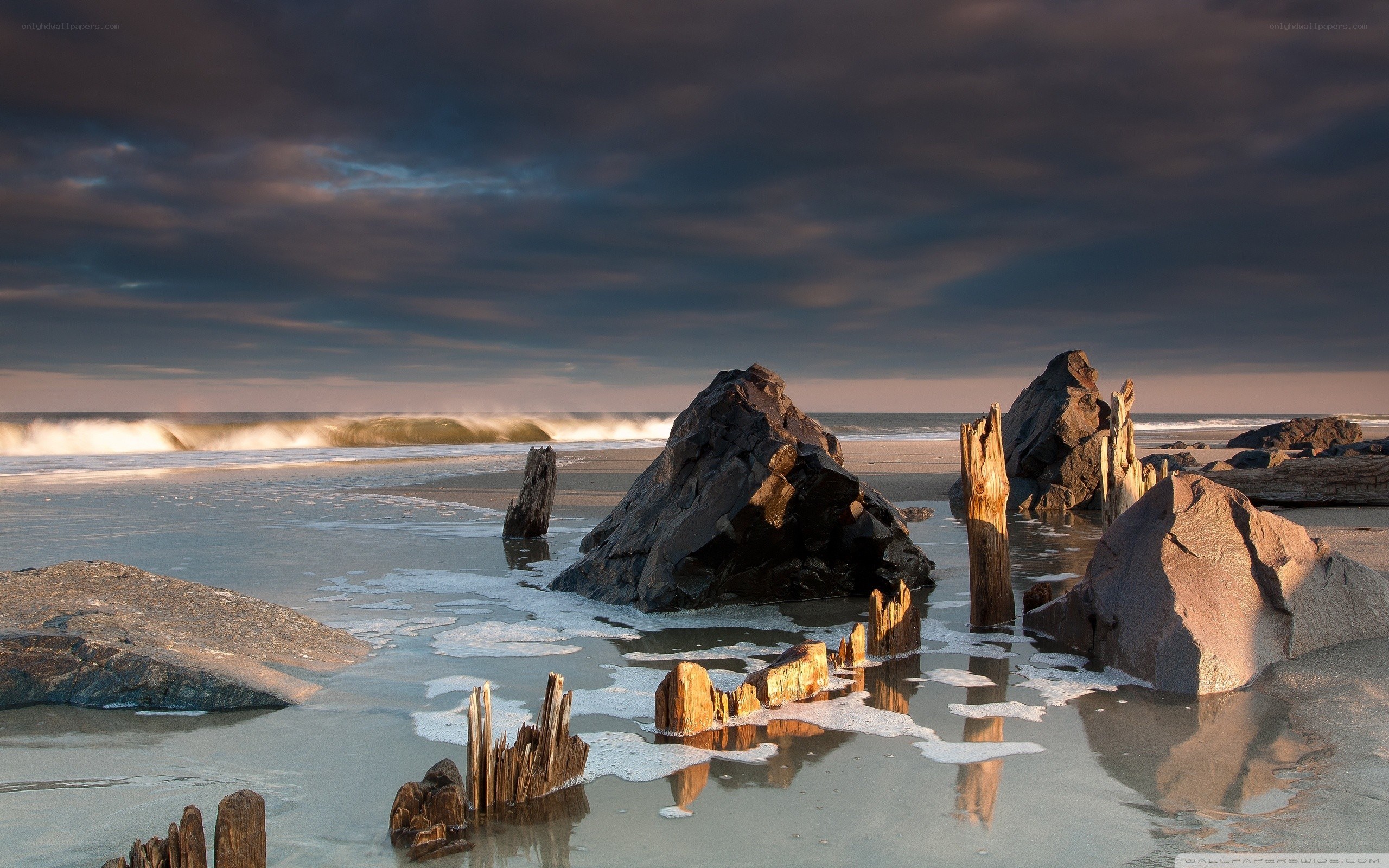 Beach with rocks and driftwood