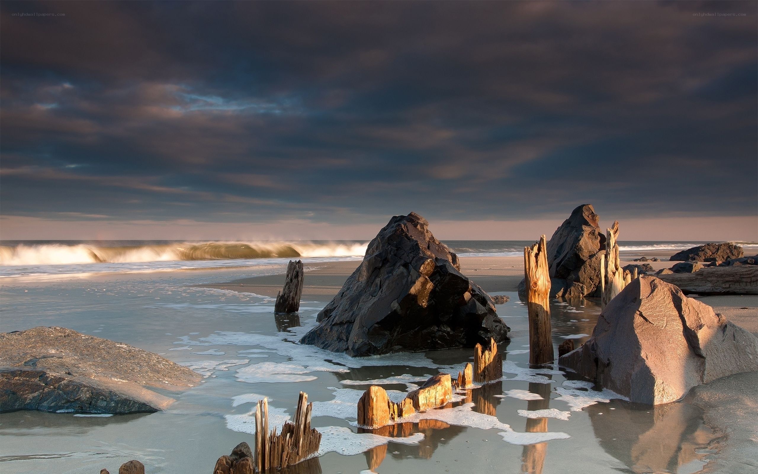 Beach with rocks and driftwood