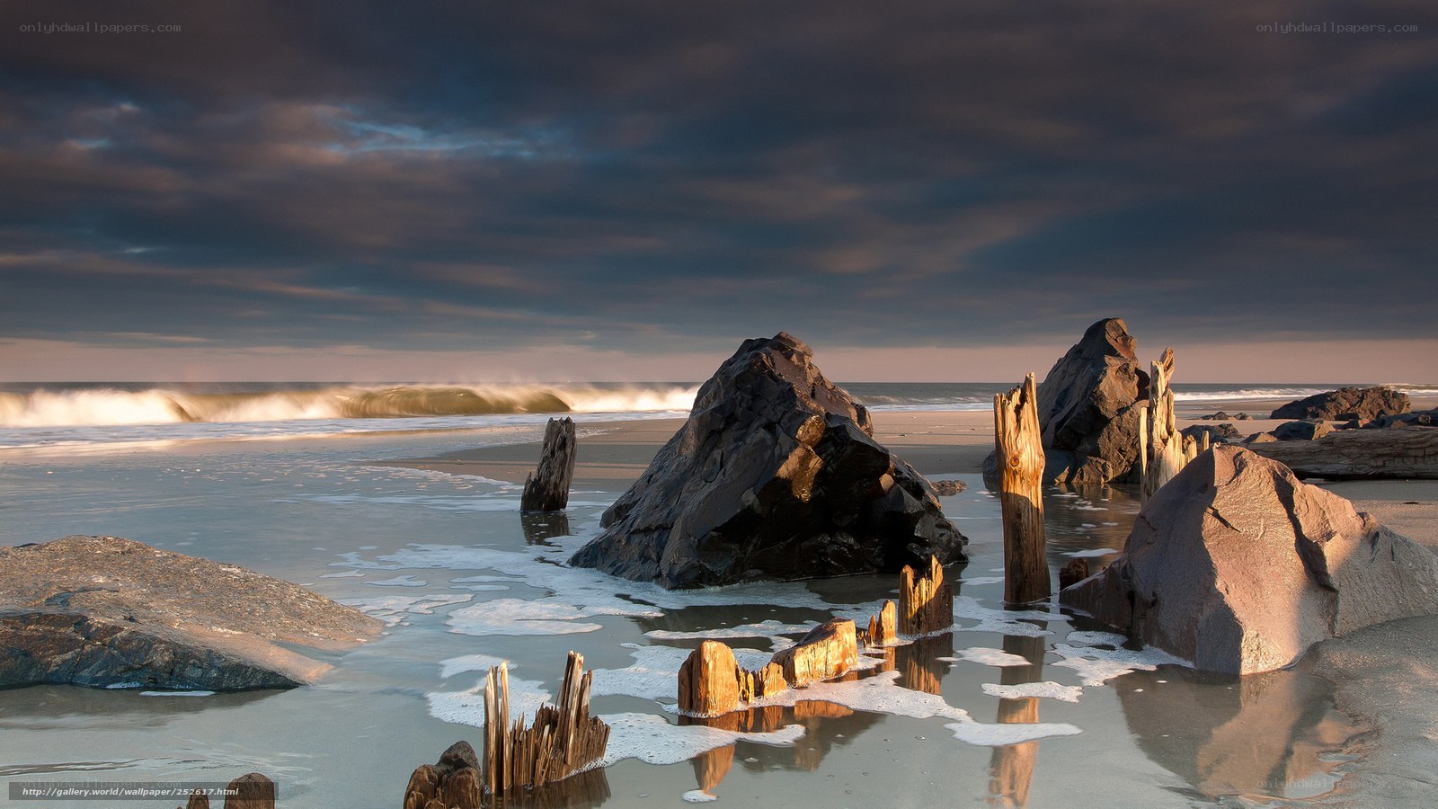 Beach with rocks and driftwood