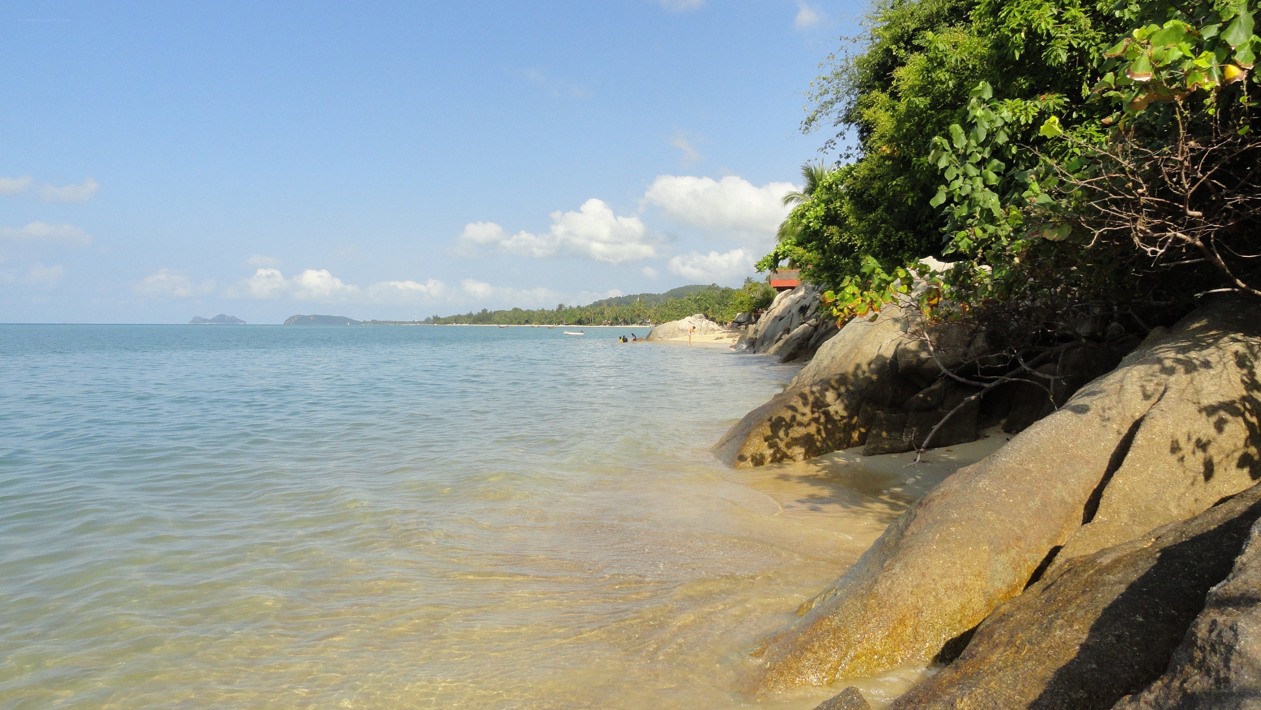 beach with rocks and greenery