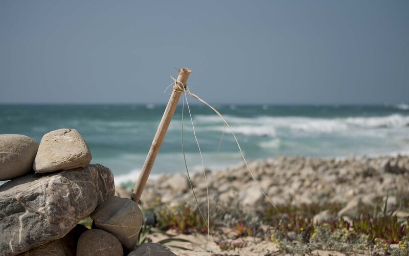 Beach with rocks and stick