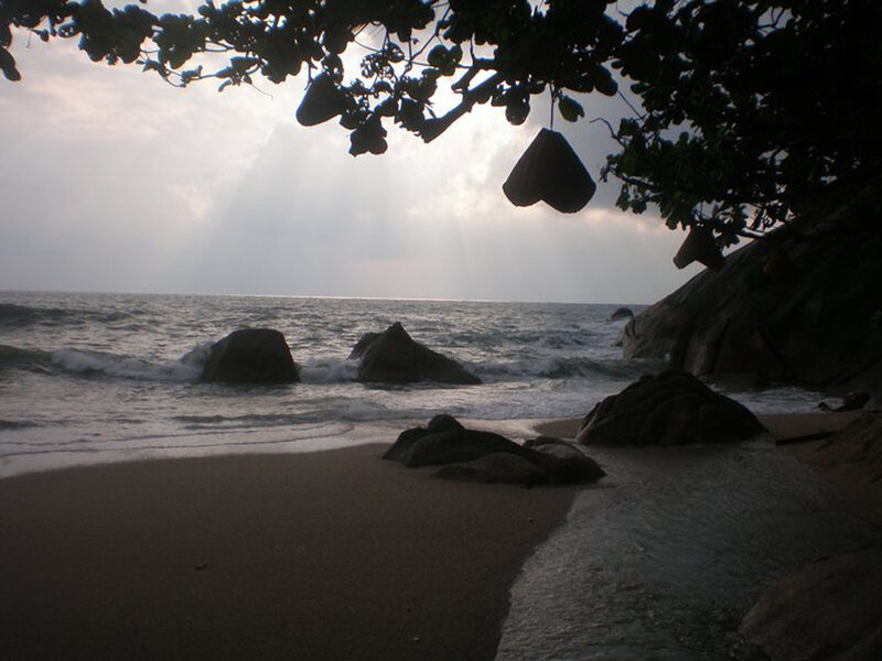 Beach with Rocks and Tree