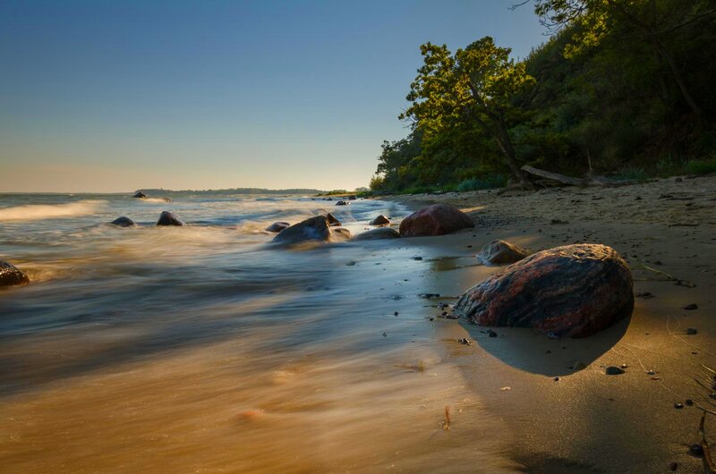 Beach with Rocks and Trees — Blue, Serene