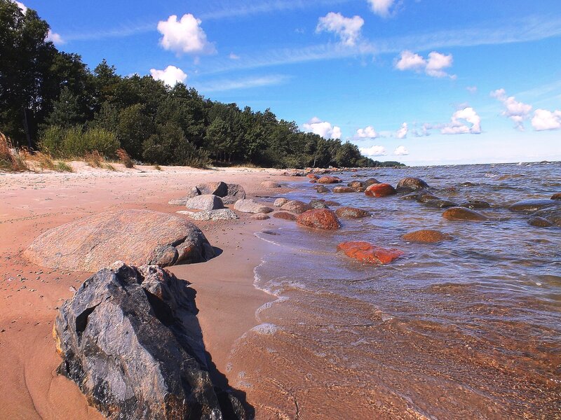 Beach with Rocks and Trees — Blue