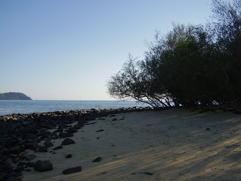 Beach with rocks and trees