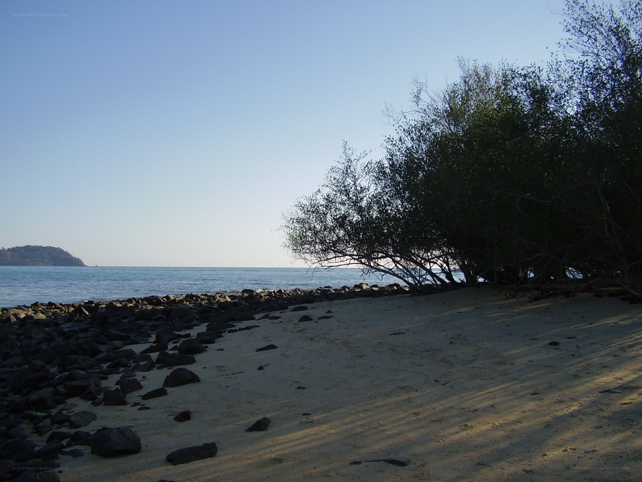 Beach with rocks and trees