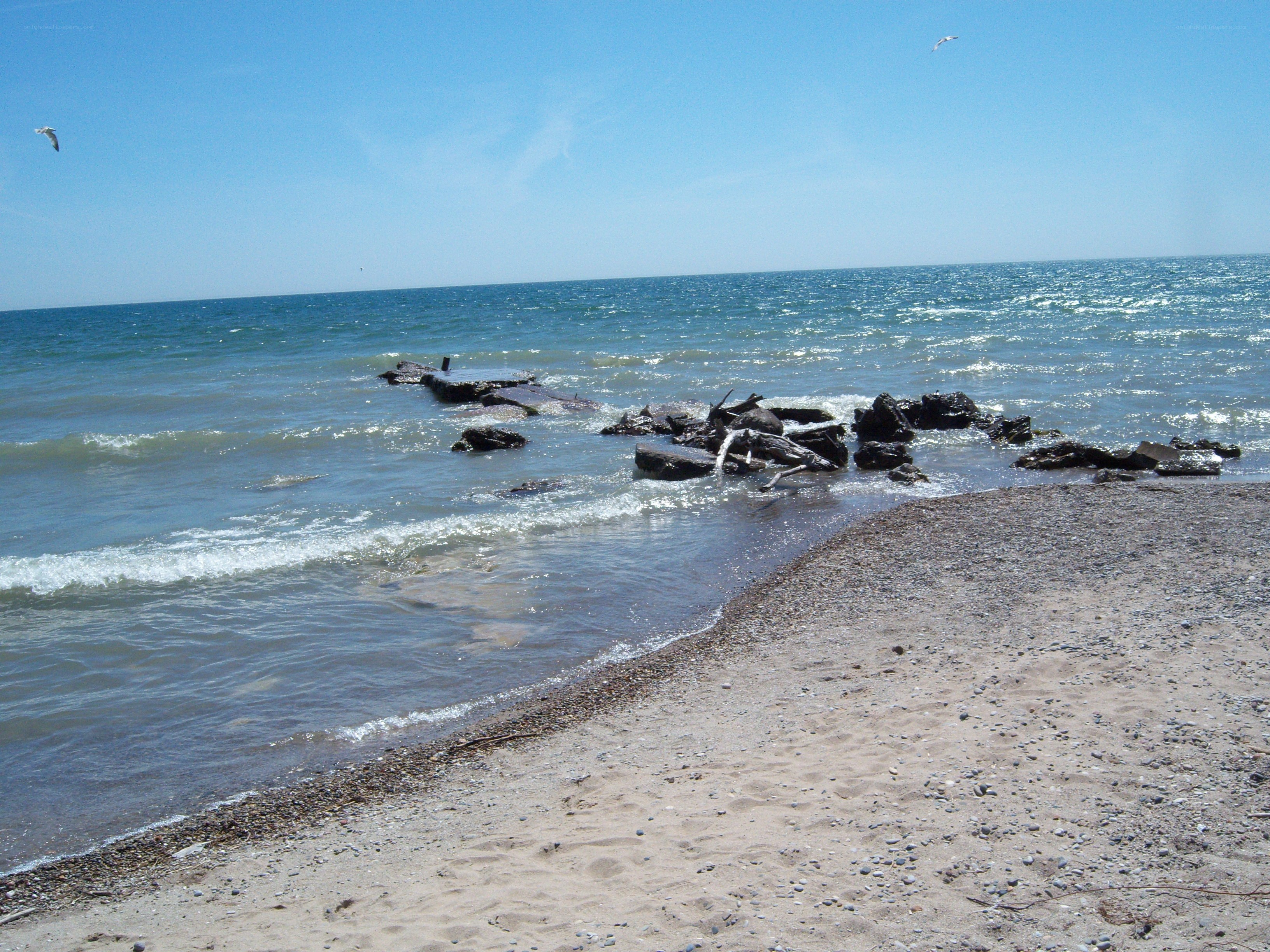 beach with rocks and waves