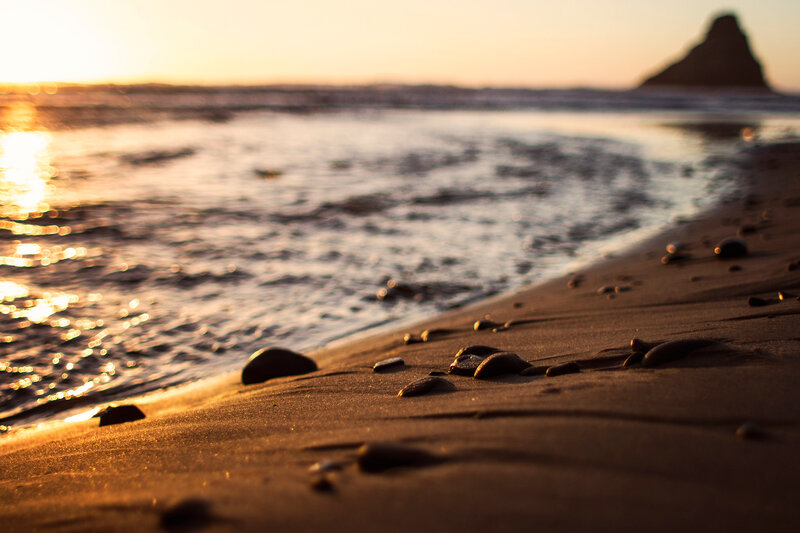 Beach with Rocks at Sunset — Brown