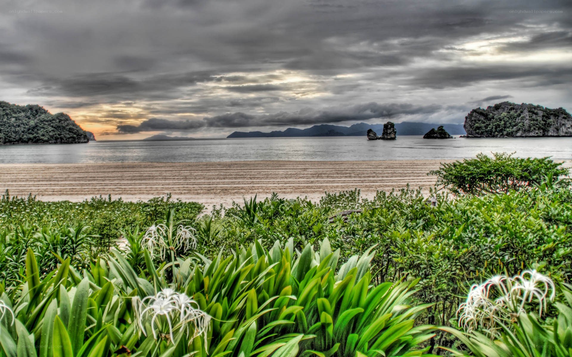 Beach with rocky islands