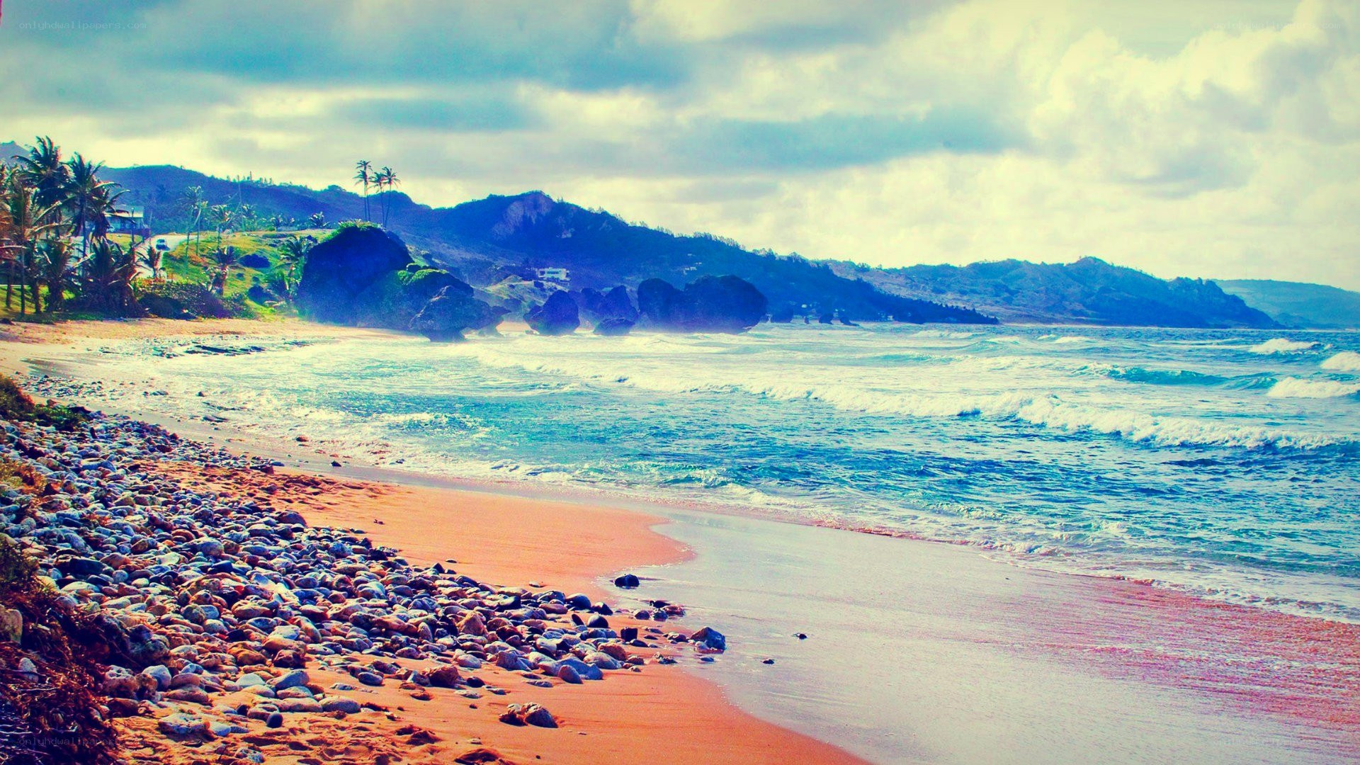 beach with rocky shore
