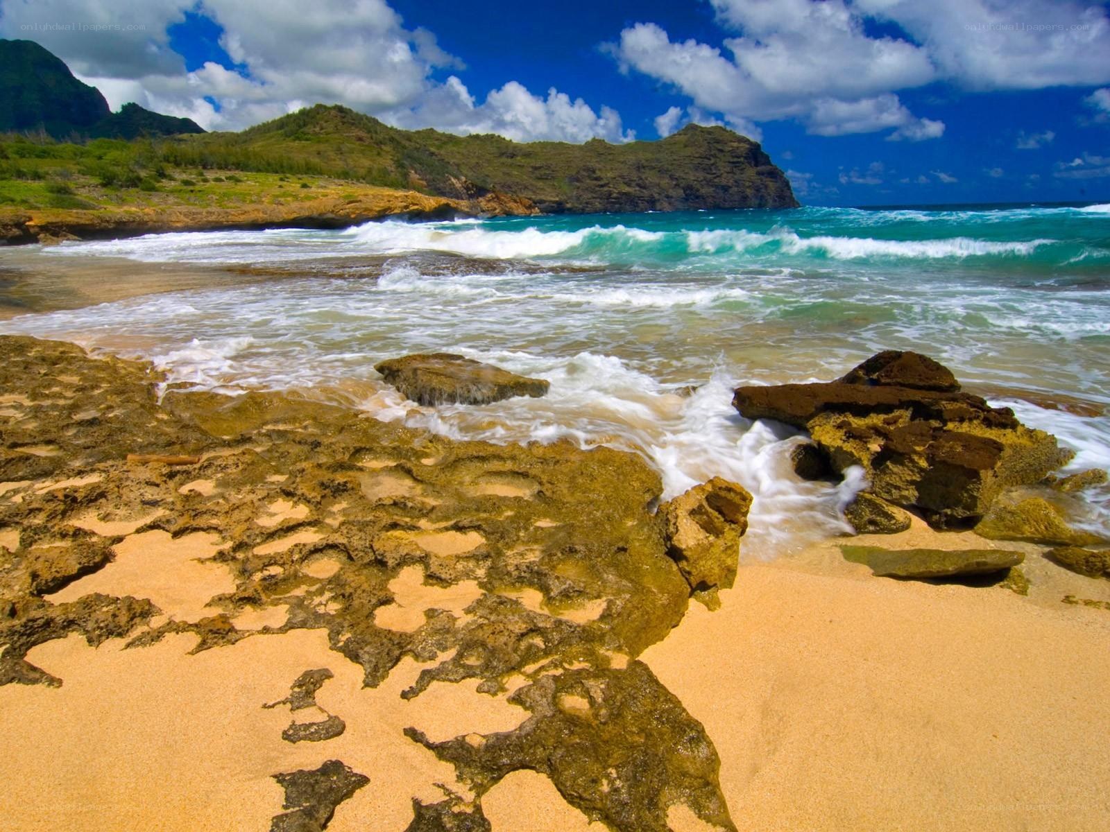 beach with rocky shore