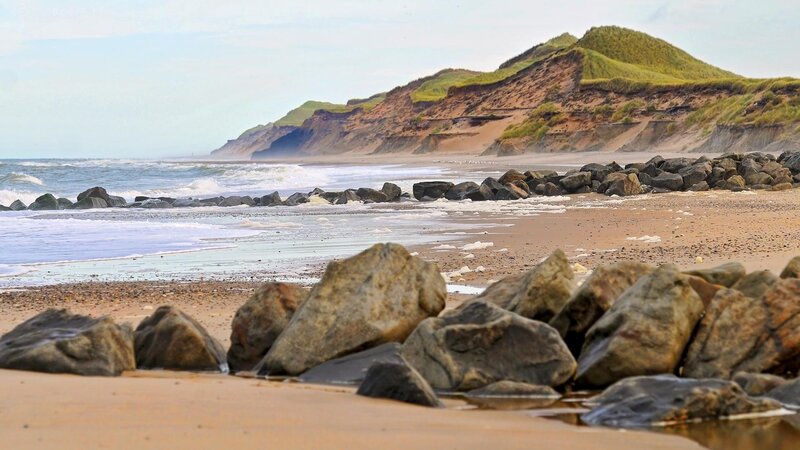 Beach with Rocky Shore — Brown