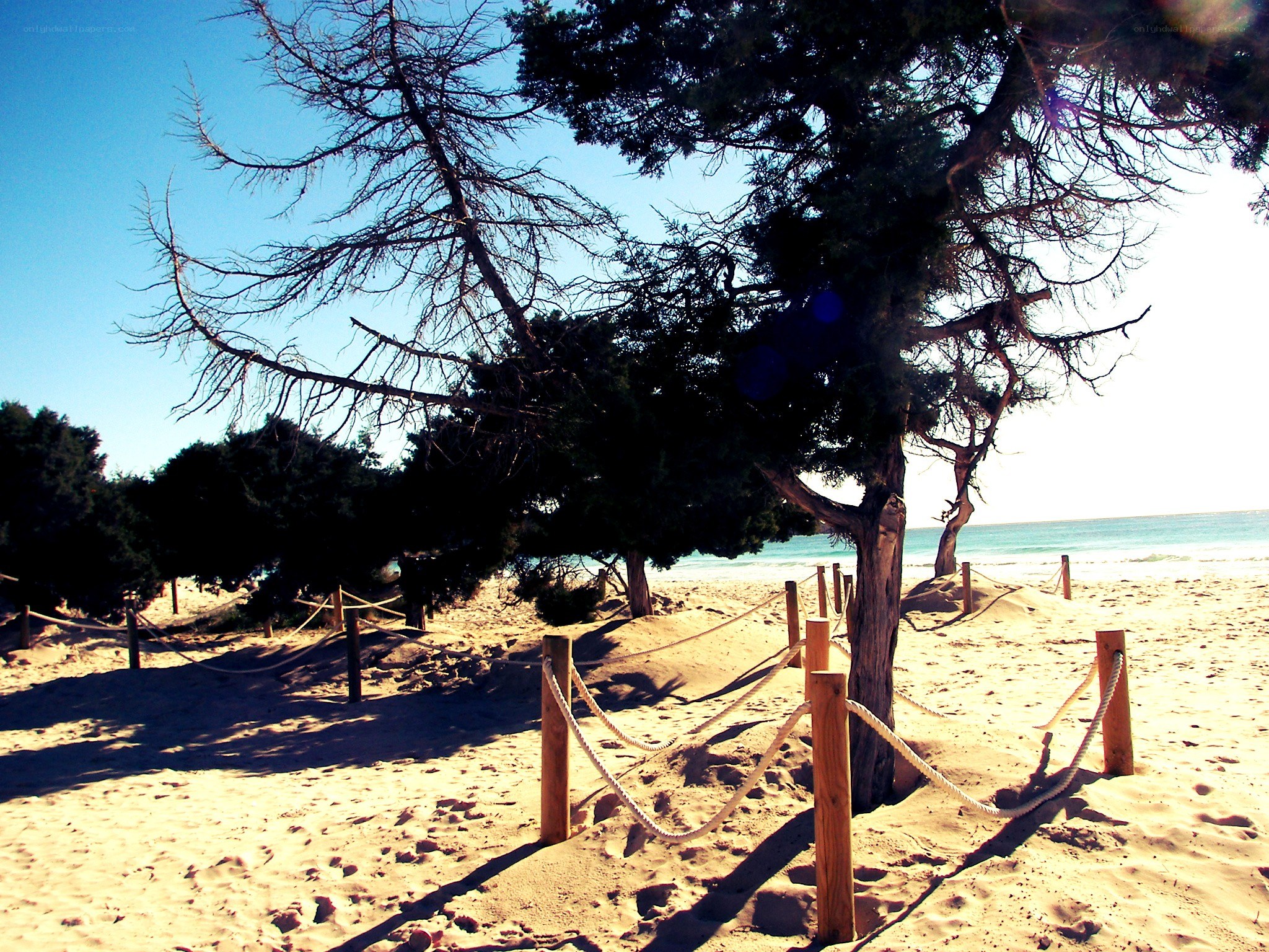 beach with rope barriers