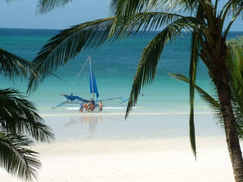 Beach with sailboat and palm trees