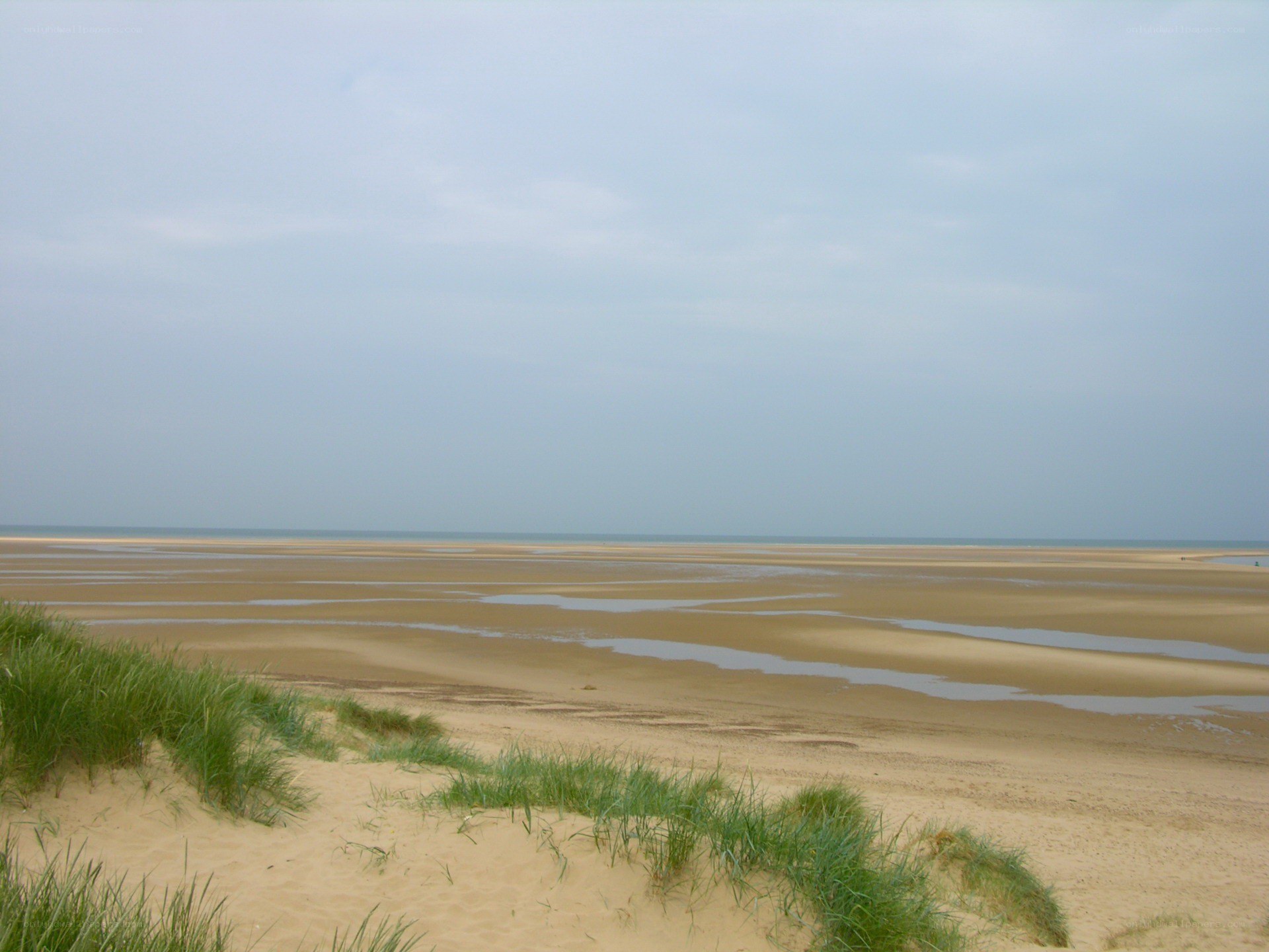 beach with sand dunes