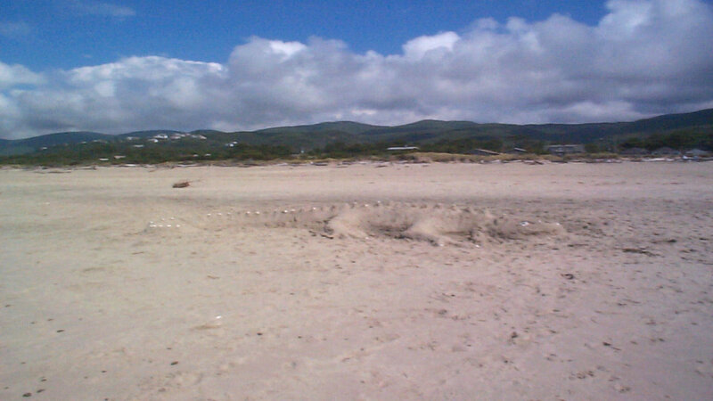 beach with sand dunes
