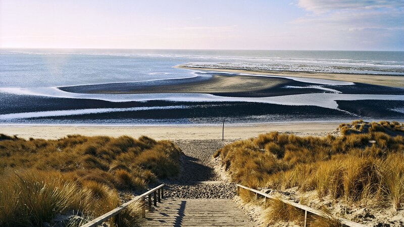 Beach with Sand Dunes — Brown, Serene