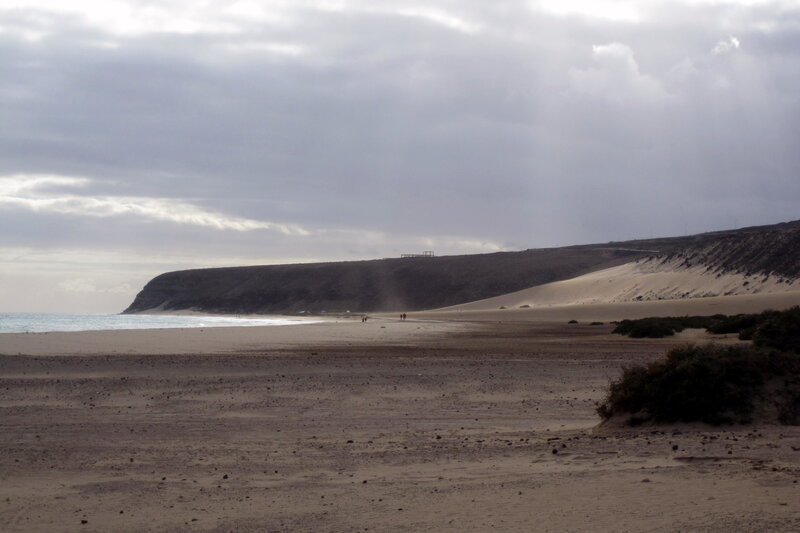 Beach with Sand Dunes — Brown