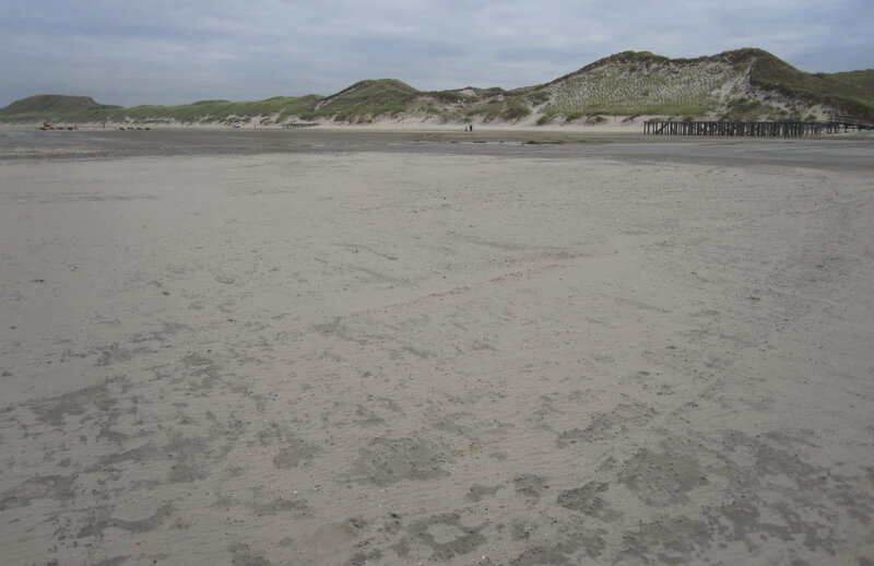 Beach with Sand Dunes — Gray, Overcast, Photograph