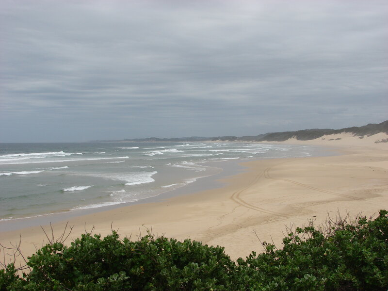 Beach with Sand Dunes — Gray