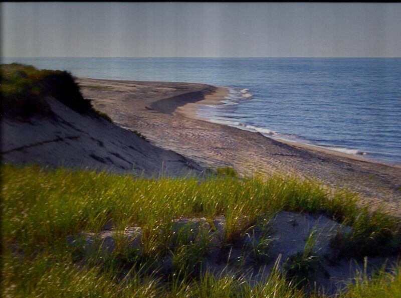 Beach with Sand Dunes — Green, Serene