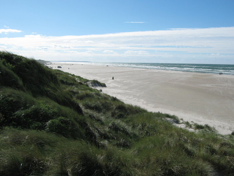 Beach with Sand Dunes — Green