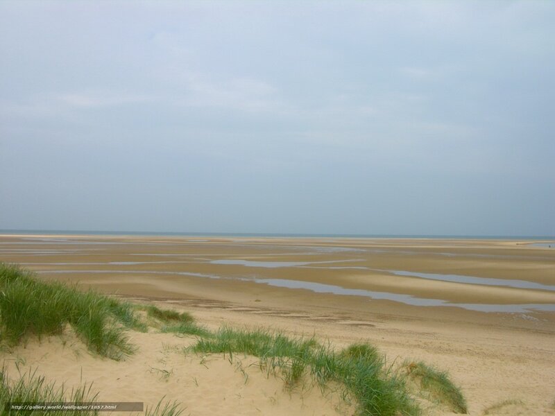 beach with sand dunes