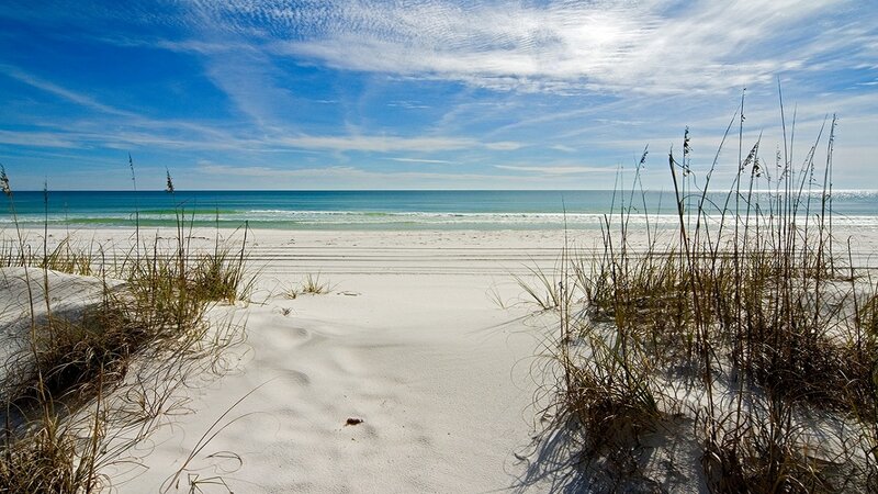 Beach with Sand Dunes — White