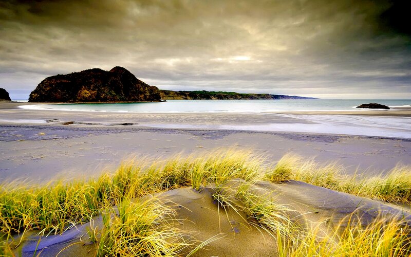 Beach with Sand Dunes — Yellow