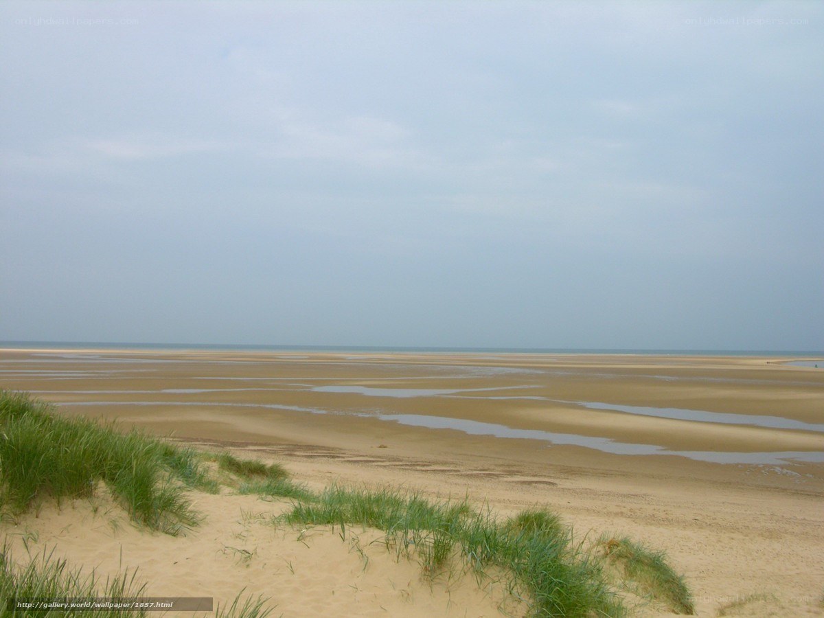 beach with sand dunes