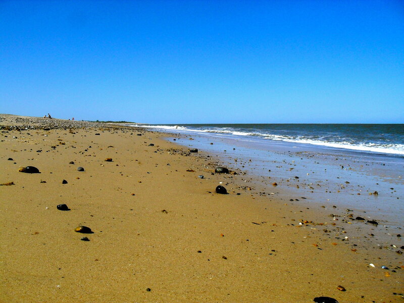 Beach with Scattered Rocks
